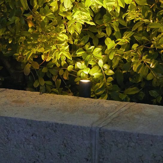 Elluminate Lighting Australia - 12V Garden Spotlights