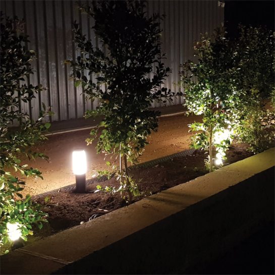 Bollard lights lit up at night next to a row of small trees illuminating a path