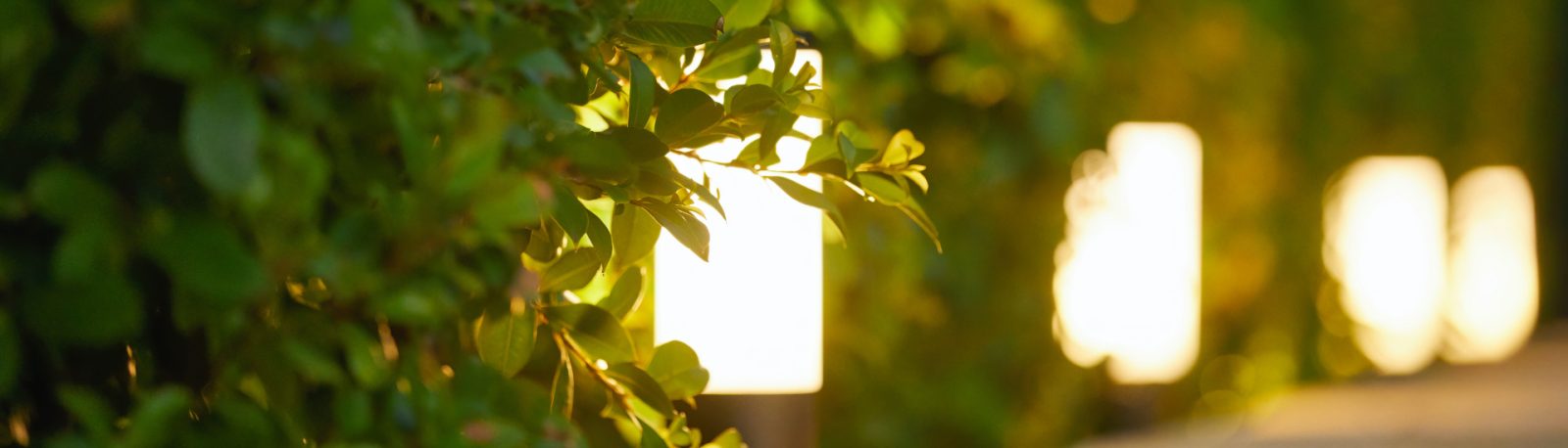 Elluminate Lighting Australia - Outdoor Garden Spotlights
