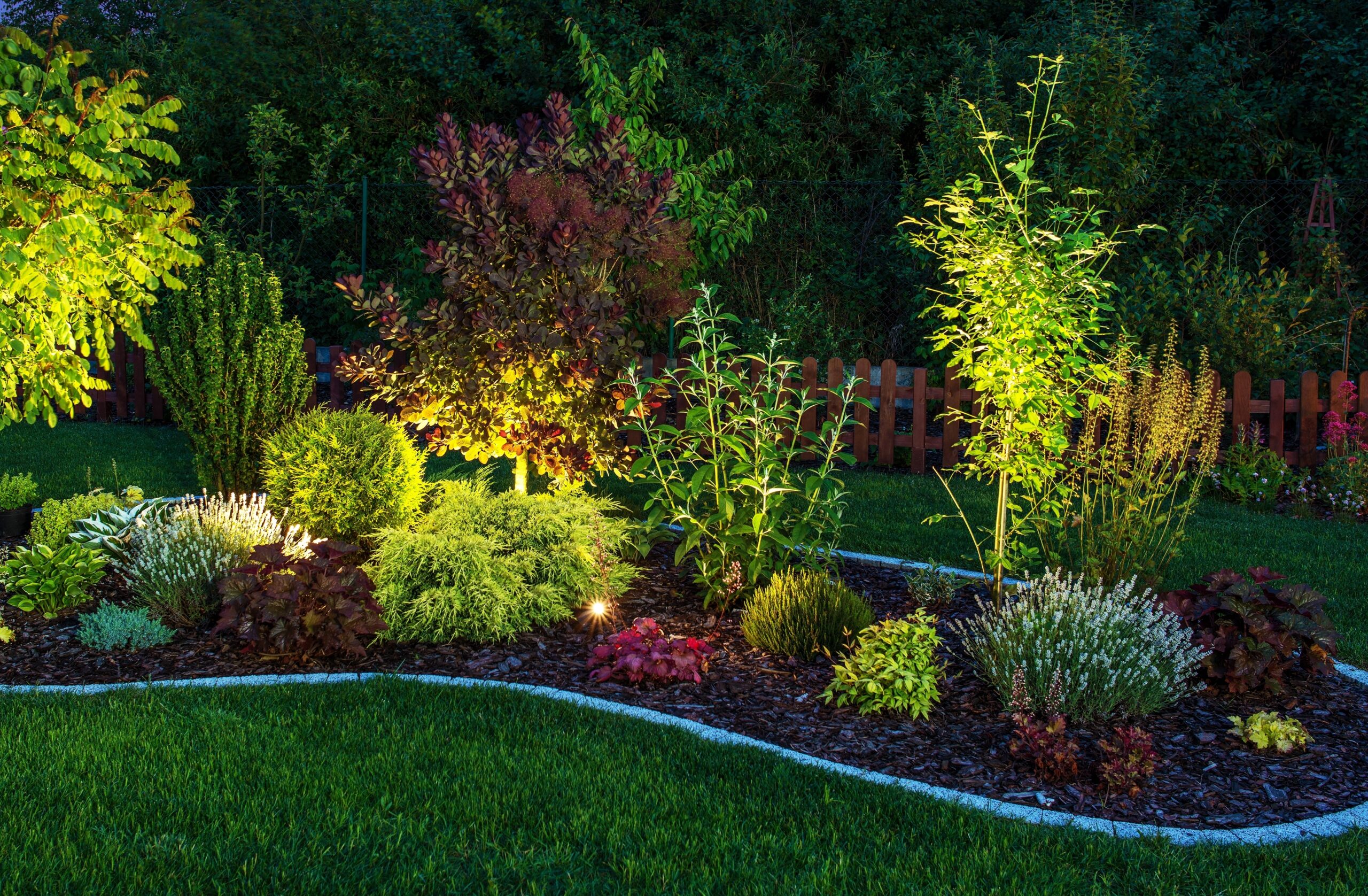 Tips for Choosing the Right Outdoor Garden Lighting | Elluminate Lighting